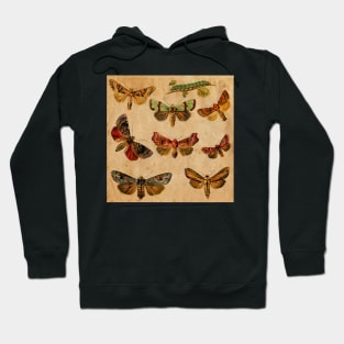 Butterfly Hoodie